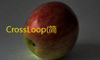 CrossLoop(简易的远程协助软件)下载
